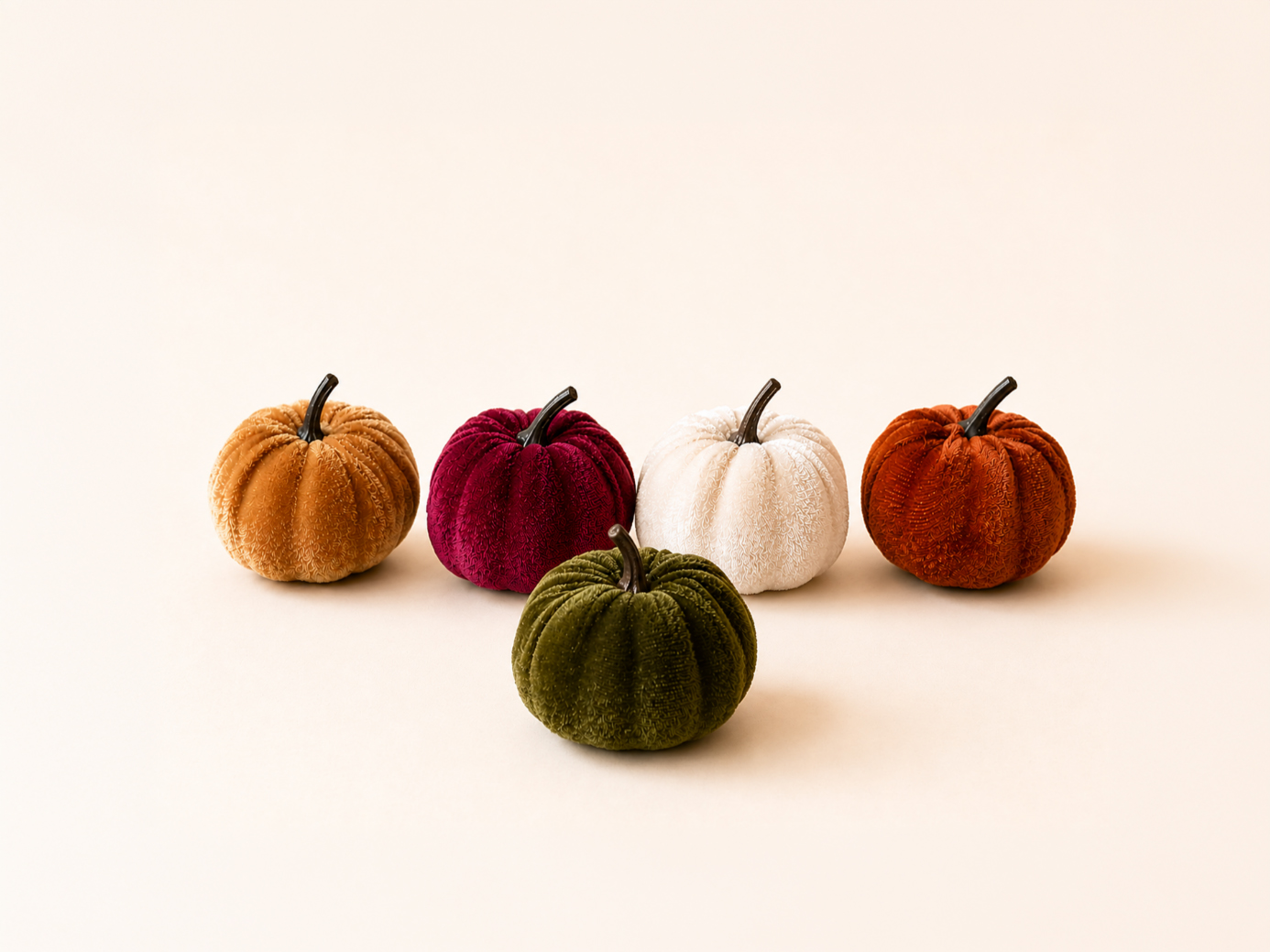 Velours mini pompoen - Set van 5