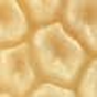 product_915_0