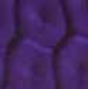 product_918_0